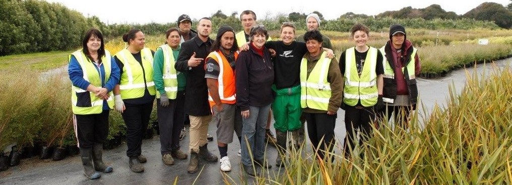 An image of a team of trainees enjoy identifying native plants and their medicinal properties at Miranda nursery.