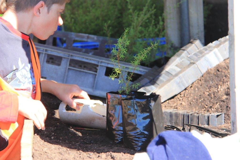 An image of a local college student enjoys Te Whanagi Trust's programme as a Gateway project introducing industry standards.