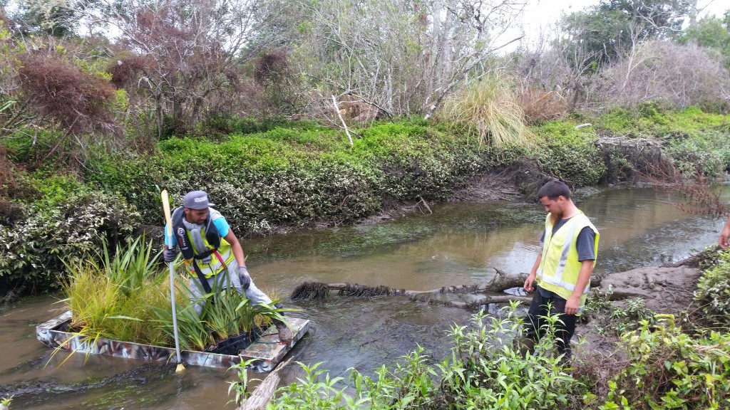 An image of a team working on a stream mitigation programme.